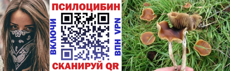 Псилоцибиновые грибы мицелий  Урус-Мартан 