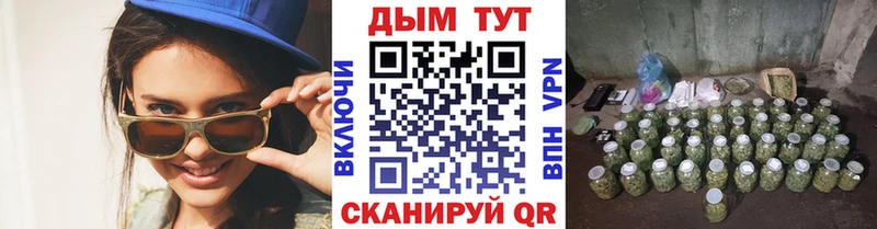 ссылка на мегу вход  Урус-Мартан  Марихуана Amnesia 